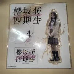 新品 櫻坂46 目黒陽色 四期生お披露目制服 アクリルスタンド アクスタ 新品 櫻坂46 目黒陽色 四期生お披露目制服 アクリルスタンド アクスタ