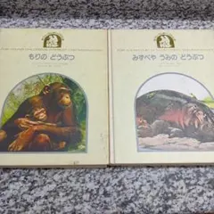 もりのどうぶつ　チンパンジー　オランウータン　ハリネズミ　あらいぐま　ジャガー