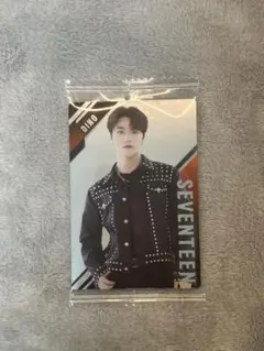 SEVENTEEN ディノ トレカシール
