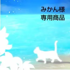 りりこ様専用 ロボホン アウトフィット8点 - メルカリ