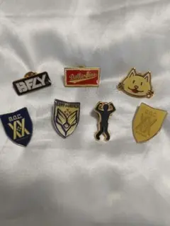 【まとめ売り】BUMP OF CHICKEN　ピンバッジセット　シークレットあり