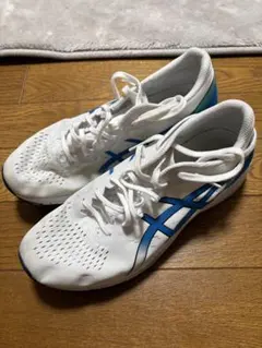 ターサーrp3 25cm