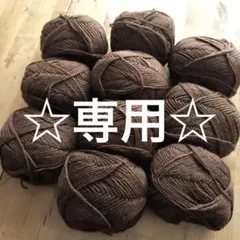 ☆専用です☆ウール100% 並太毛糸　約38g 10玉　チョコブラウン