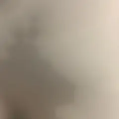 確認用専用出品