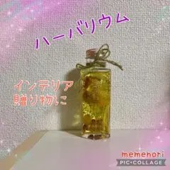 ハーバリウム 黄色 黄緑色 インテリア プレゼント ハンドメイド