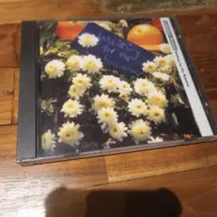 Waiting for the Summer　LUMINOUS ORANGE