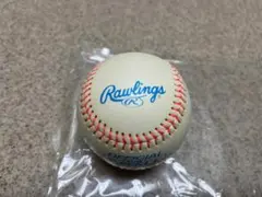 【新品】Rawlings / ローリングス T-Ball 硬式ボール 練習球