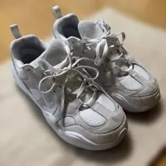 Item thumbnail for item 1459c0a1-ad2c-48fc-b20b-9fbb1a95b500