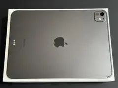 【美品】iPad Pro 11インチ M4 256GB WiFi