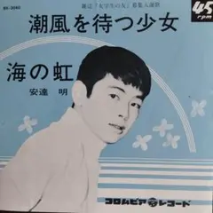 稀少盤 田代みどり 白い雲と少女 山の牧場 レコード 浜田光夫 日活映画主題歌 稀少盤 田代みどり 白い雲と少女 山の牧場 レコード 浜田光夫 日活映画