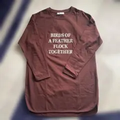 新品！ディスコート　ブラウン ロングスリーブ Tシャツ Fサイズ