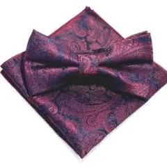 ◆蝶ネクタイ チーフ　ボルドー　ペイズリー　結婚式二次会演劇音楽会　Gha