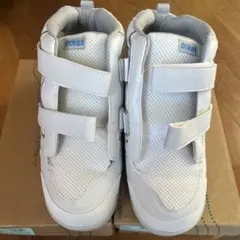 Item thumbnail for item a7bf87ac-5d4a-492a-9d4c-25cf4136ef85