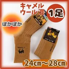 Item thumbnail for item 73475de6-b9d6-495a-afd9-a0dcc2737c89