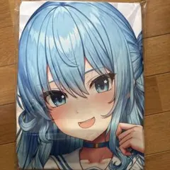 富士浅間堂 抱き枕カバー B柄 カナリィ ポケモンレジェンズZ-A - メルカリ