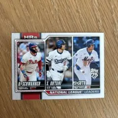 ナショナルリーグ ホームランリーダー トレーディングカード　大谷翔平