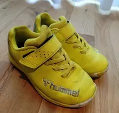 Item thumbnail for item 531ea4cf-af40-4ab1-9346-85271eb9101b