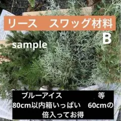 クリスマスリース　スワッグ　ブルーアイス等コニファーMIX80cm以内箱詰め放題