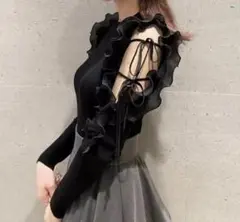 【美品】プリーツフリルドッキングニットプルオーバー SNIDEL