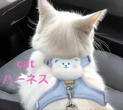 Item thumbnail for item cd60741c-c9aa-48aa-9610-83e40c4e66d8