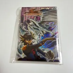 遊戯王OCG アナザー・バース・ドラゴン スリーブ 100枚入り - メルカリ