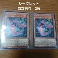 2025年最新】スネークアイズ・ポプルスの人気アイテム - メルカリ