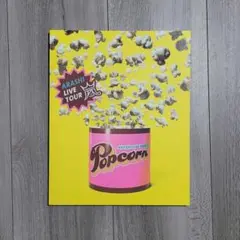 嵐 Popcorn パンフレット