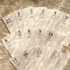 Item thumbnail for item ae5a5845-e296-4b5b-aa59-3215b107a628