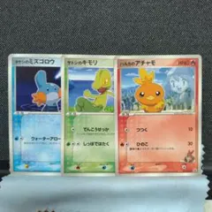 ポケモンカード サトシのキモリ ハルカのアチャモ タケシのミズゴロウ