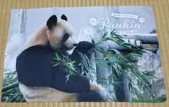 Item thumbnail for item 8cd2398f-0e1d-4bf2-963a-86a5182f85c0