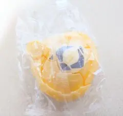 仮面ライダーマイス　 エグズ01 カブトムシシードエグス