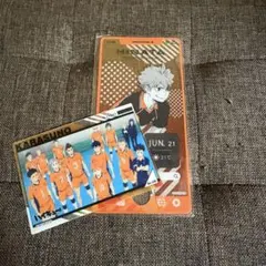 ハイキュー　日向翔陽　烏野　カード