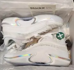 AIR JORDAN 36 low pure money 希少 エアジョーダン