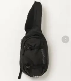 Patagonia Atom sling bag パタゴニア ショルダー 廃盤 - メルカリ