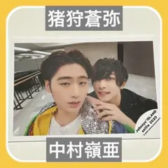 【中村嶺亜 猪狩蒼弥】Johnnys' ISLAND selfie 写真