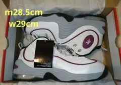 2026年最新】air penny 28の人気アイテム - メルカリ