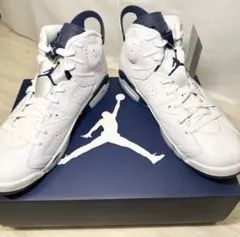 新品未使用 Nike Air Jordan 6 ナイキ エア ジョーダン 6