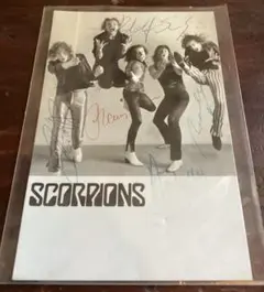 スピッツ SPITZ ハチミツ B2販促ポスター アルバム ロビンソン - メルカリ