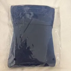 Item thumbnail for item 78642d4e-3dac-42c2-a212-de408554b3c9