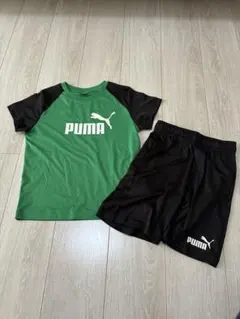 PUMA Tシャツ ハーフパンツ セット 130cm