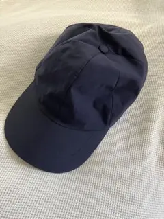 Item thumbnail for item 432805d9-34ee-4a14-a0ef-7a70069c1b46