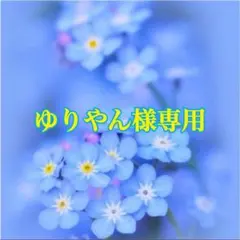 ゆりやん様専用