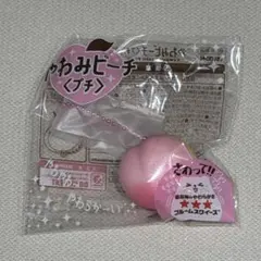 2026年最新】スクイーズ ブルームピーチの人気アイテム - メルカリ