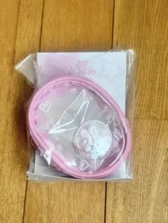 フィリックス①⭐️StrayKids SKZOO クリアポーチ ペンミ 新品未開封