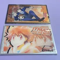 沢田綱吉 アニメ初期グッズ ポストカード リボーン ランボ - メルカリ