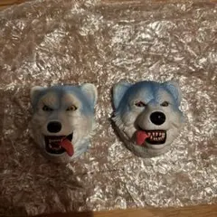 フェイスマグネット　2種セット