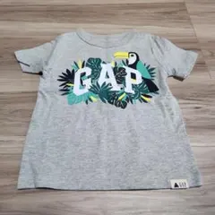 GAP キッズ Tシャツ トゥーカン柄 グレー
