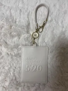 【嵐】ARASHI Anniversary Tour 5×20 パスケース