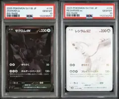 PSA10連番 ゼクロムex レシラムex BWR ZekromReshiram