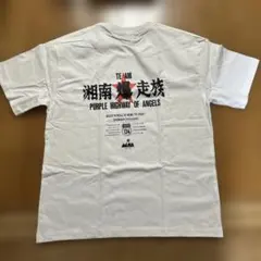 Item thumbnail for item 68e9252d-498f-451f-8357-9610bb265b4c